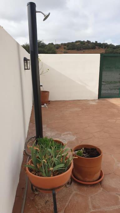 הוילה Mancha Real Casa La Hojiblanca מראה חיצוני תמונה